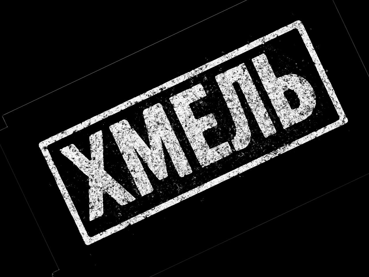 Хміль